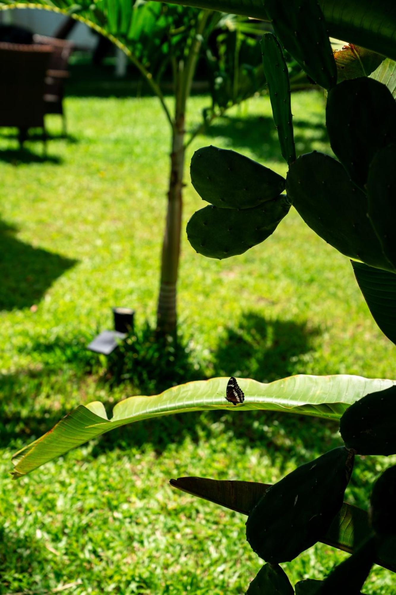 Koh Samui Resort & Restaurant Taling Ngam Beach 外观 照片
